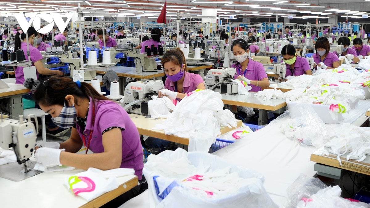 Vietnamese garment exports to Australia rise despite shrinking market